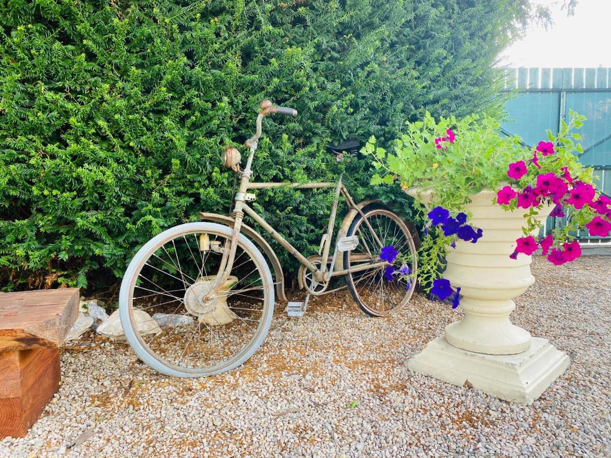 Aux Berges Du Libre Bed & Breakfast Felines-Termenes Bagian luar foto
